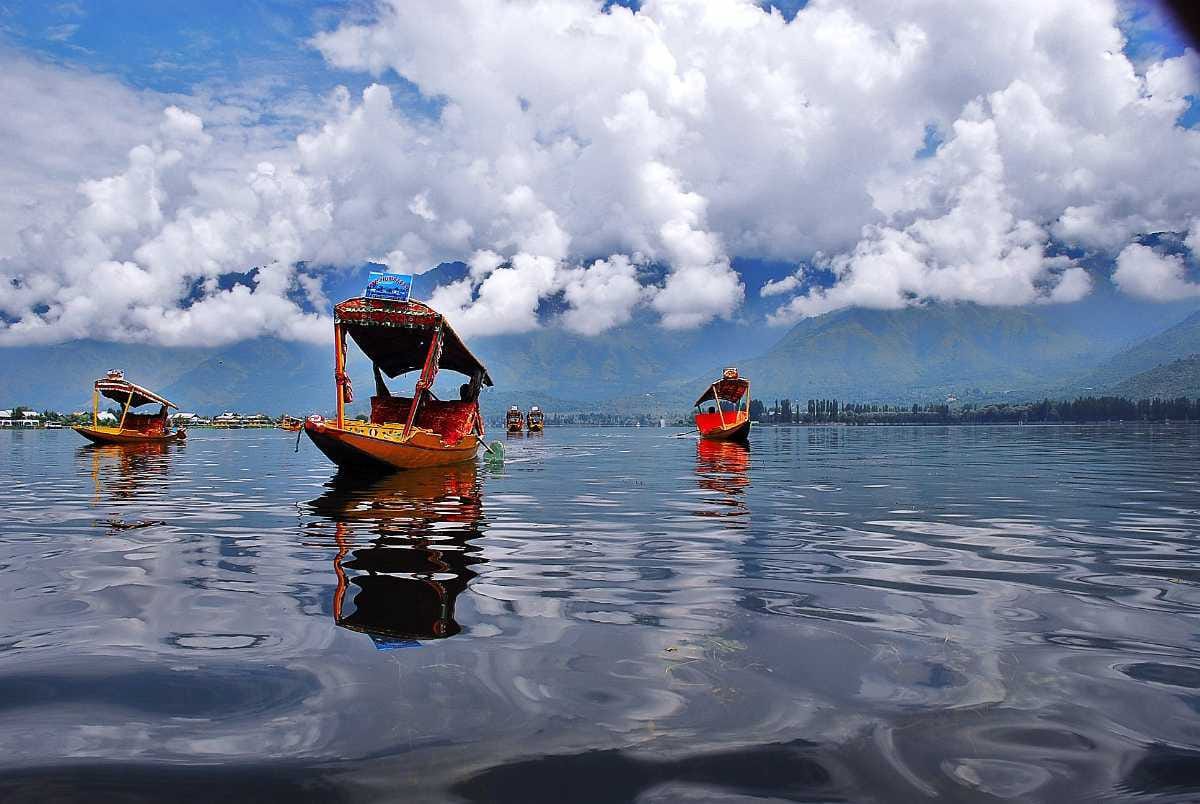 Srinagar Sightseeing Local and 1 Hour Shikara Ride